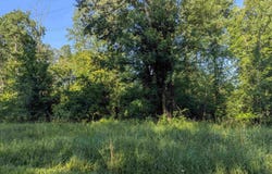 N/A Crawford Road, Omer, MI 48749