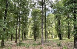 Beaver Dam Road, Lucedale, MS 39452