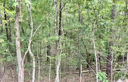 1649 BROKEN ARROW CREEK ROAD, RIVERSIDE, AL 35135