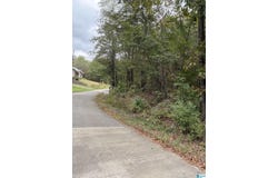OAKLAND AVENUE lot: 0, WILSONVILLE, AL 35186