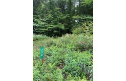 250 Stonehouse Road, Kortright, NY 13739