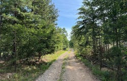 Tract 1 Hidden Valley, Annapolis, MO 63628