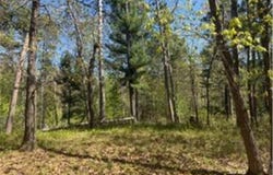 8293 Interlachen Road, Lake Shore, MN 56468