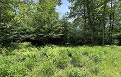 OFF TUSCAN RIDGE RD, DAVIS, WV 26260