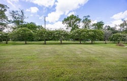 39078 Biltmore Ave, Gonzales, LA 70737