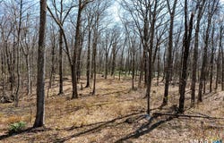 22 Old Paddock Lane, Kent, CT 06785