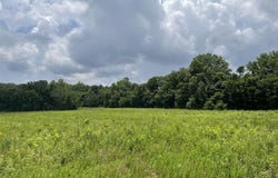 0 Roe Road, Sharon Grove, KY 42280