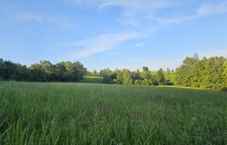 002 Tomahawk Slab Road, Saint Joe, AR 72675