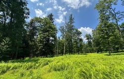0  Pa 879, Karthaus, PA 16845