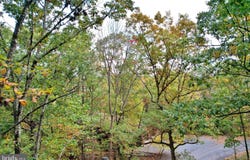 139 LAURA COURT, BASYE, VA 22810