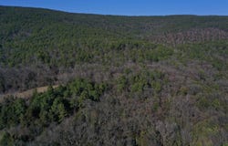 0000 HWY 248 E, Waldron, AR 72958
