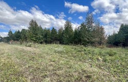 Hwy. 49, Brookland, AR 72417-0000