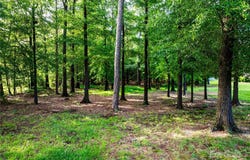 5606 Flint Ridge Church Road, Marshville, NC 28103