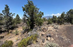 Blk 22 Lot 33 Thrush Road, Montague, CA 96064