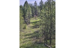 4464 Woods Way Rd, Springdale, WA 99173