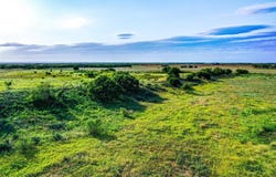 Tbd CR 141, Rule, TX 79547