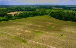 0 North County Rd. 75, Ashford, AL 36312