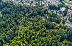 000 E 16th Street, Arcata, CA 95521