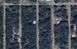 ANNETTE, INTERLACHEN, FL 32148