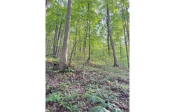50530 Wargo Road, Caldwell, OH 43724