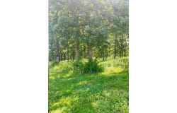 0 Krausetown Road, Owensville, MO 65066