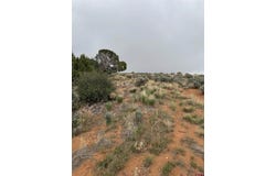 TBD Road 7, Dove Creek, CO 81324