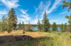Xxx S Clear Lake Rd, Medical Lake, WA 99022