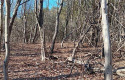 Davis Road, Stamford, NY 12167
