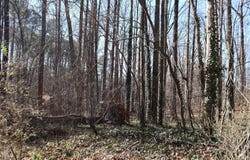 110 Frank Road, Cary, NC 27518