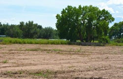 19 Leibel Court, Los Lunas, NM 87031