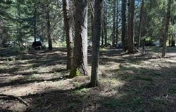 1251 CANYON Rd, Appleton, WA 98602