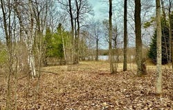 Chippewa Trail, Johannesburg, MI 49751