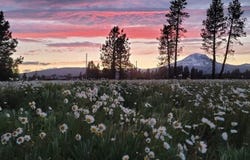 106 LAKESIDE RD, Glenwood, WA 98619