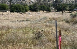 3171 Erskine Creek RD, Lake Isabella, CA 93240