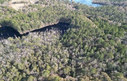 40 MOL AC, Leakesville, MS 39451