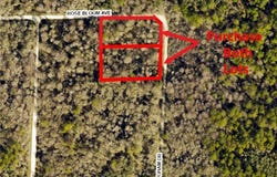 33464 Packingham Drive, Webster, FL 33597