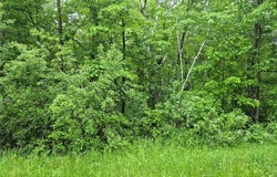 Tbd Willow Dr, Garrison, MN 56450