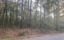 527 Club Wiley Road, Jackson, AL 36545