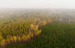 Highway 14 E, Louisville, MS 39339