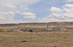 25 Big Sky Rd, Cody, WY 82414