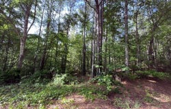 916 Virgin Mary Road, Camden, MS 39045