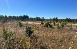 0  Sunset Drive (6 acres), Grenada, MS 38901