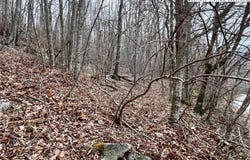 105 Thistle Lane, Beech Mountain, NC 28604
