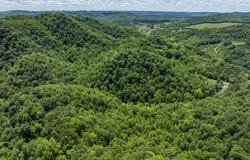 Tbd Lick Creek Drive, Fort Blackmore, VA 24250