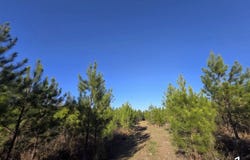 0 Chipola Rd, Slocomb, AL 36375