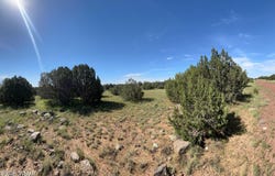 Mills Ln lot: 1933, Concho, AZ 85924