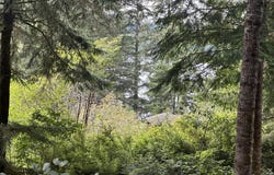 Summerbell DR, Florence, OR 97439