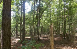 1054 Pine Point Lane, Tignall, GA 30668