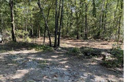 12700 PLANT ROAD, ALPINE, AL 35014