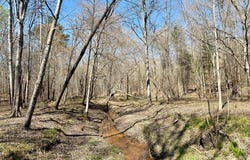 Highway 28, Abbeville, SC 29620
